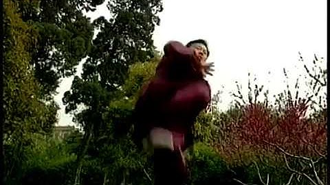 張東武 Zhang Dongwu - Introduction 2