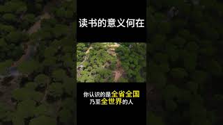 读书的意义何在