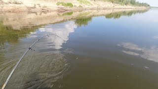 Рыбалка на крайнем севере! На реке Печора! Усть-Цилемская переправа !Часть вторая!