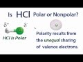 Polarity and Properties of HCl