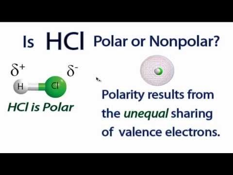 Video: Is hypochloorzuur polair of niet-polair?