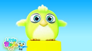 Little Bird Learn to Fly | Nursery Rhymes