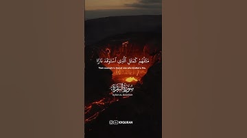 سورة البقرة • الآيات 16-18 • الشيخ محمد أيوب | Surah Al-Baqarah • Sheikh Muhammad Ayyub #quran