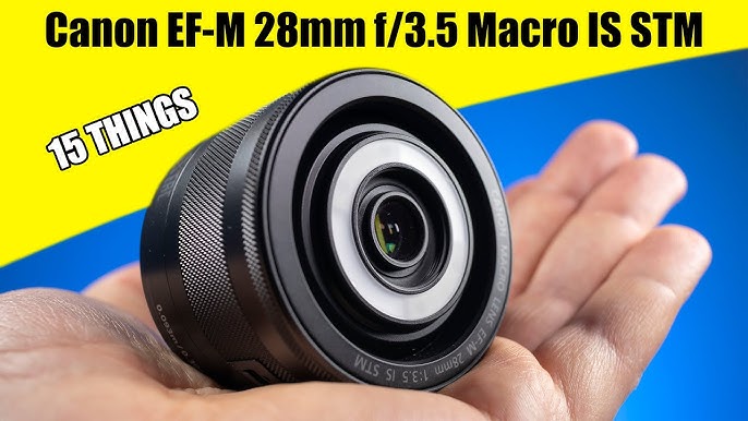 This Lens is Incredible: The Canon EF-M 28mm f3.5 IS STM Macro - YouTube