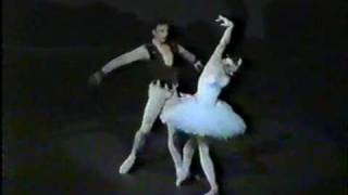 Who is this 22 years old Swan? Sylvie Guillem