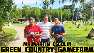 GREEN COUNTRY GAMEFARM | Big Farm in Roxas City Philippines | Martin Escolin | Farm Visit screenshot 3