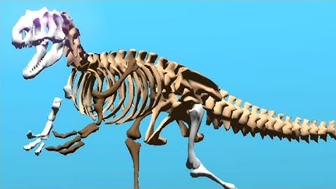 Digging for Virtual Bones! Dino Quest 2