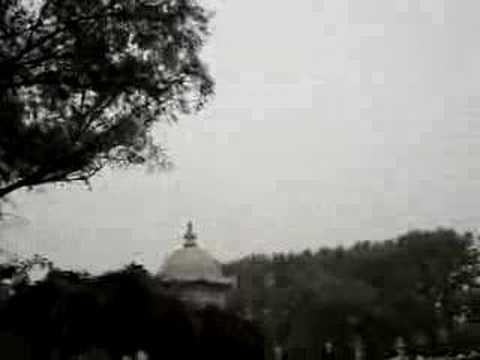 Cicadas in the Old Summer Palace