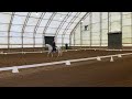 Working Equitation Level 6 (Advanced) Dressage test