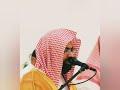 ناصر القطامي تلاوة هادئه تريح الاعصاب و ز ك ر ي ا إ ذ ن اد ى ر ب ه   
