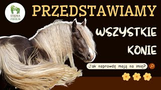 PRZEDSTAWIAMY WSZYSTKIE KONIE || Jak naprawdę mają na imię? || ⭐️Odcinek specjalny⭐️