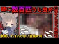 【閲覧注意】検索してはいけない言葉を怖がりが調べてみる!Part18【ゆっくり実況】【ゆっくり解説】