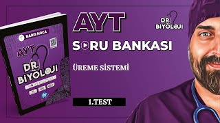 Ayt Biyoloji Soru Bankası Üreme Sistemi 1. Test Dr.biyoloji