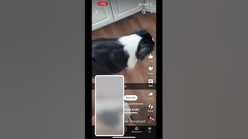 Bro thought he could hide,Don’t mind the video