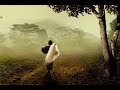 2 hours of relaxing music  chinese bamboo flute  piano  meditation  healing  zen