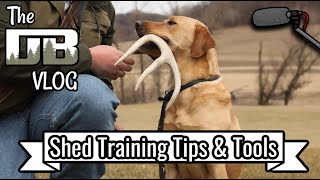 Tips, Tools, & Training For Shed Hunting Season | Ep: #230 by DogBoneHunter 571 views 3 months ago 28 minutes