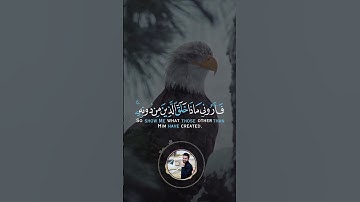 سبحان الخالق - القارئ عبدالله حسن