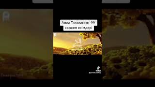 Алла Тағаланың 99 көркем есімдері