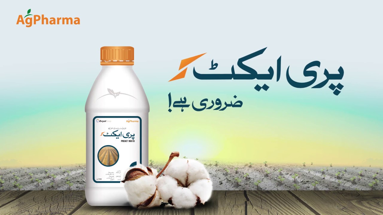 پری ایکٹ ضروری ہے