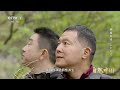 水獭 淡水生态系统顶级捕食者 在角落吃鱼的水獭太可爱了《自然中国之熊猫家园》05【CCTV纪录】