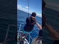 水面をボコボコ‼️ プラグ投げて見たら🤔