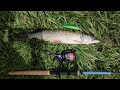 Varuna 110 SP в действии. Ловля щуки на воблеры. Varuna 110 SP in action. Pike fishing on wobblers.