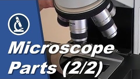 🔬 004 -  Compound Microscope Parts and Functions (2 of 2)