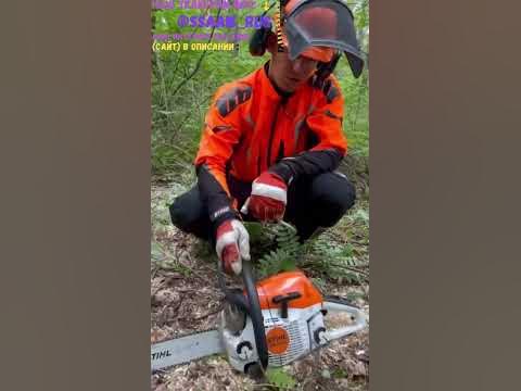 Профессиональная ли пила ШТИЛЬ STIHL? - YouTube