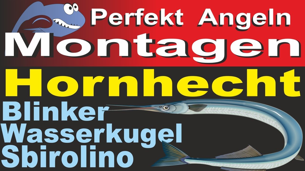 Perfekt Angeln – Hornhecht Montagen u. Köder | Blinker, Wasserkugel, Sbirolino | Tipp Hornhechtseide