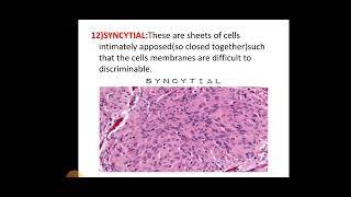 Morphological Patterns in HistoPathology