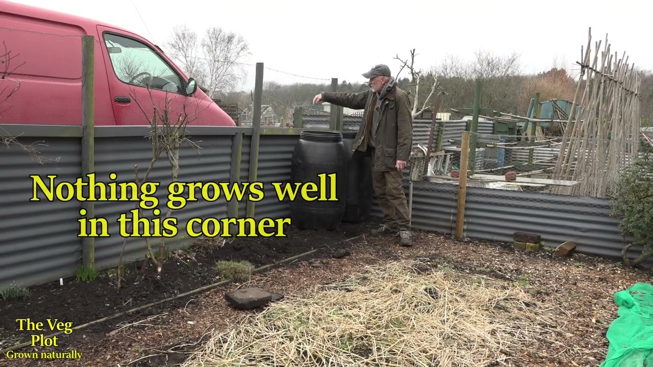 Ограждение участка наконец-то достроено.