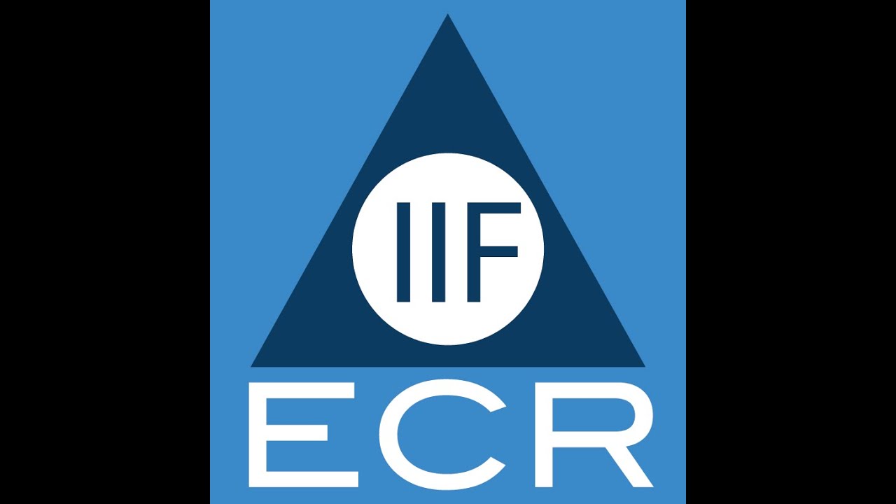 What Should I Know To Publish In The IJF Or Foresight YouTube