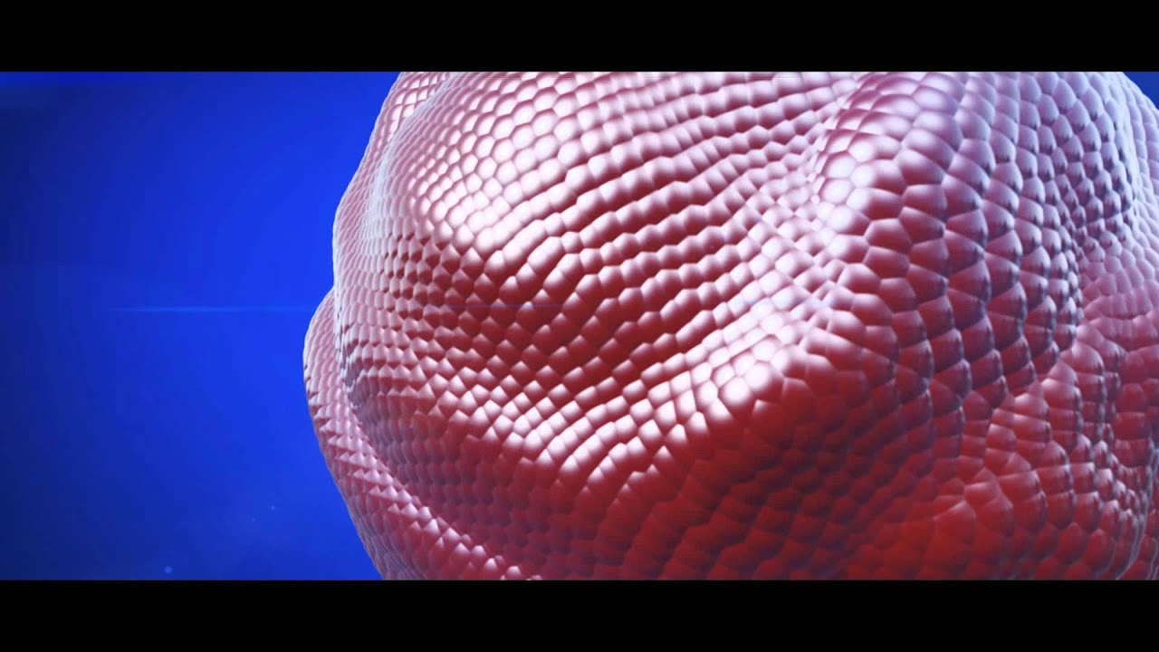 Test Organic Motion pulse + Element 3D