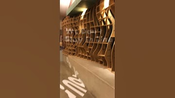 Walk Through - Anamorphic Typography