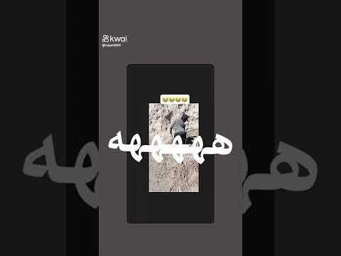 ياريت كل العمال كلهة مثلو