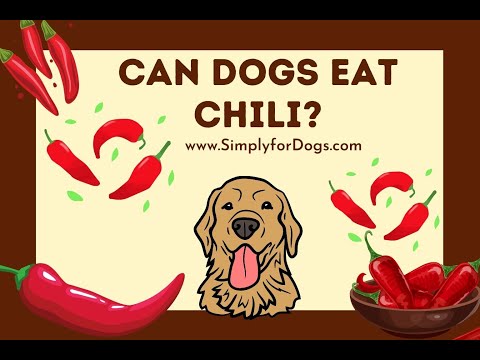 Chili Powder Can Ruin A Dog'S Sense Of Smell | Greengos Cantina