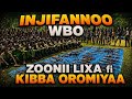 Oduu Injifannoo WBO Zoonii Lixa Fi Kibba Oromiyaatti Argame 