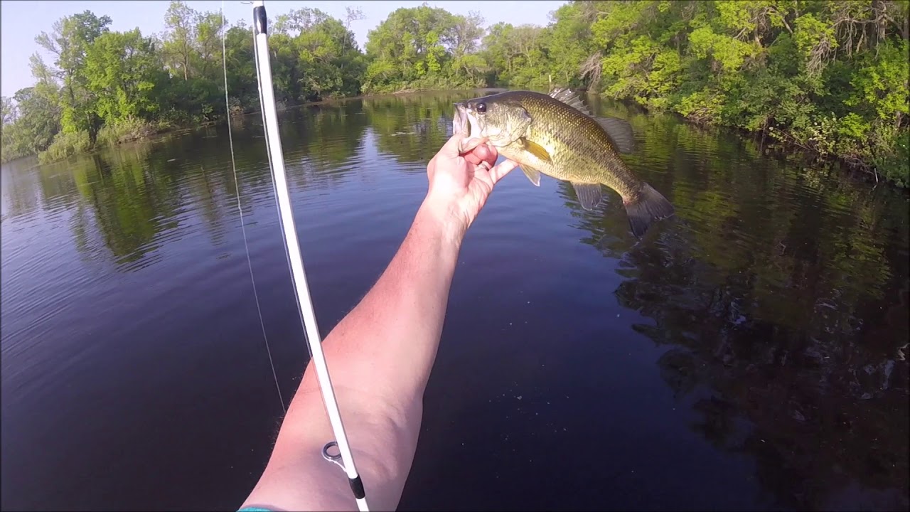 Wacky Rigging On Horseshoe Chain Of Lakes, Richmond, MN 2019 YouTube
