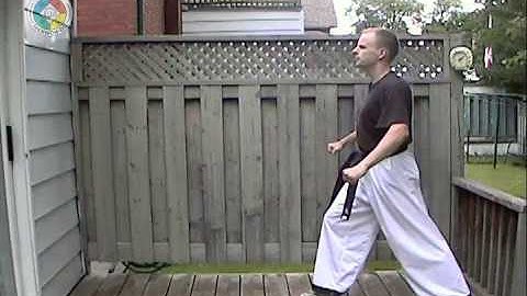Taekwondo: Hapkido: Foundations: roundhouse kick, side view