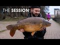 Huge carp in cardiff city centre