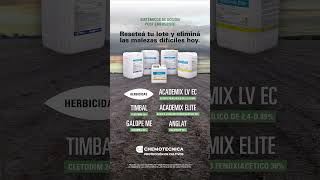 Herbicidas De Alta Performance Para Barbechos De Invierno