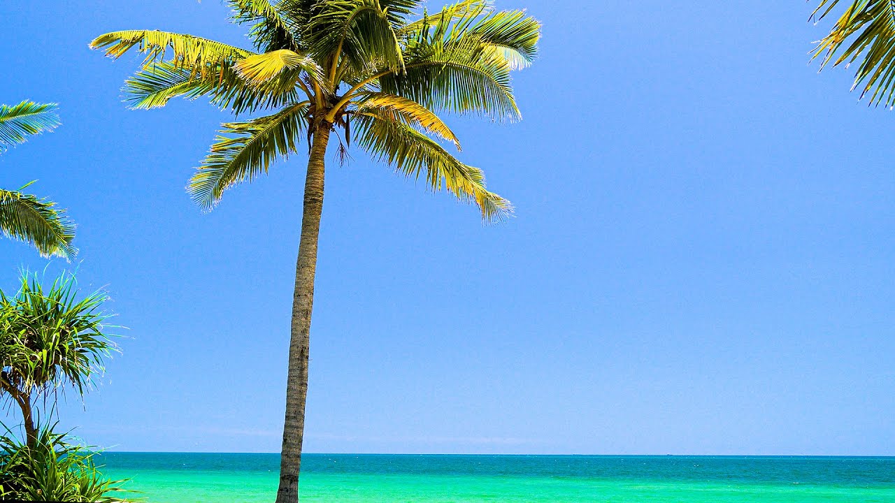 Fall Asleep With Relaxing Ocean Wave Sounds. 4K UHD Tropical Beach Ocean Waves.