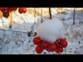 4K Удивительная  природа Латвии.  Зима. _ Amazing nature of Latvia. Winter.