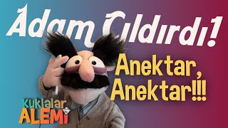 Erkan, enaktarlar koltugun altında kalık beni ara #kuklalaralemi #kukla #komedi #komik Resimi