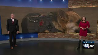 Non-profit offers free K9 service dog training for veterans