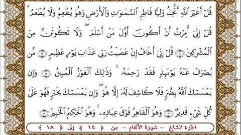 سورة  الأنعام من الأية  14- 18 بصوت الشيخ على جابر