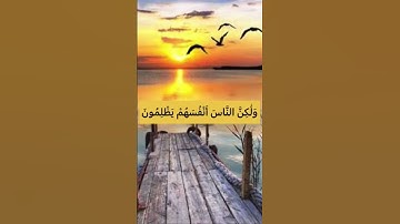 إِنَّ اللَّهَ لَا يَظْلِمُ النَّاسَ شَيْئًا وَلَٰكِنَّ النَّاسَ أَنْفُسَهُمْ يَظْلِمُون❤️#سورة_يونس