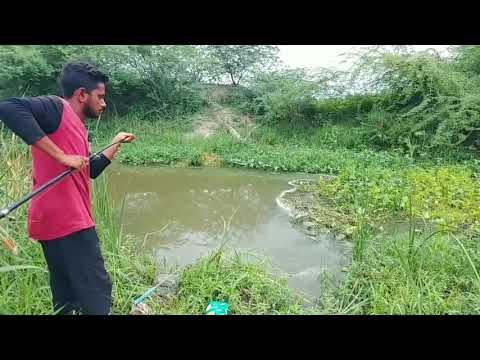 Видео: Рыбалка в Индии
