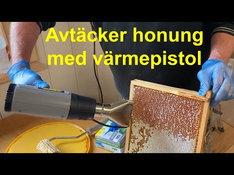 Uncapping honey frames with heat gun / Avtäcka honung med värmepistol. Slunga honung