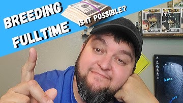 Is It Possible to Make a Living & Money Breeding Ball Pythons?